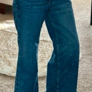 American Eagle Baggy Wide Leg Jean Size 12 Long